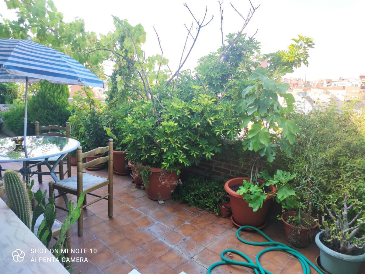 Mv Apartment *